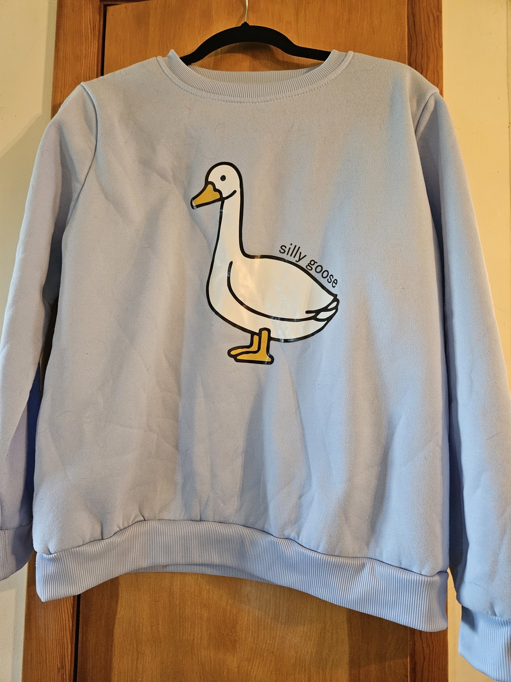 Light Blue "Silly Goose" Graphic Sweatshirt